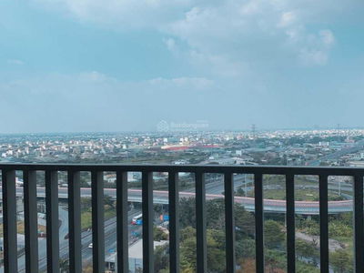 Angiya Star, Vietnam Angiya Star, Vietnam