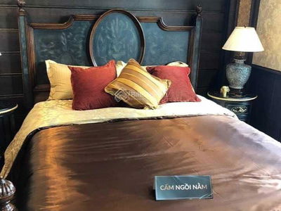 The Golden Armor, Vietnam The Golden Armor, Vietnam