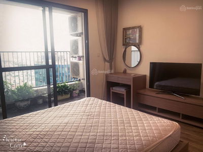 The Golden Palm Le Van Luong, Vietnam The Golden Palm Le Van Luong, Vietnam