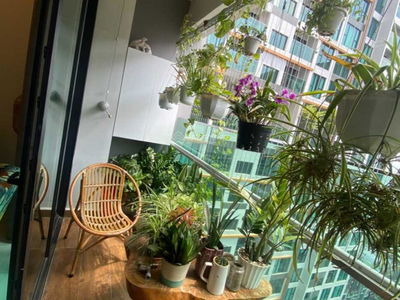 Happy In View, Vietnam Happy In View, Vietnam