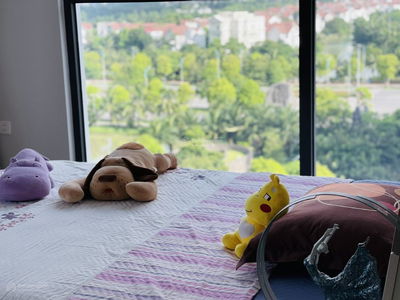 Vinhomes Symphony Riverside, Vietnam Vinhomes Symphony Riverside, Vietnam