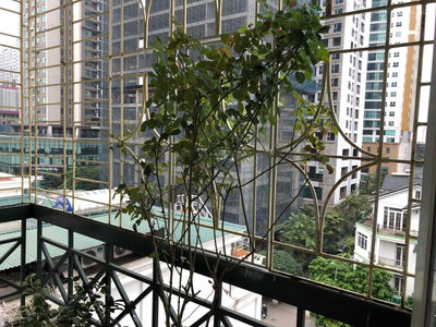 Жилье в Ha GJong, Vietnam Жилье в Ha GJong, Vietnam