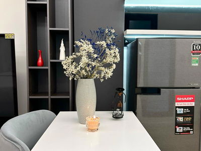 Housing in Ho Chi Minh City, Vietnam Housing in Ho Chi Minh City, Vietnam