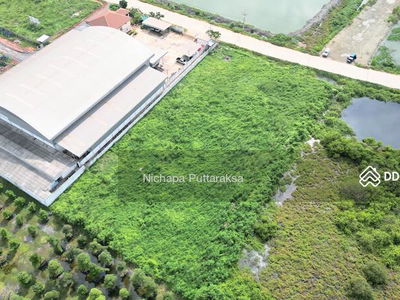Land for rent in Samut Sakhon, 3 rai, Phanthai Norasing. Mueang Samut Sakhon District, Samut Sakhon, Samut Sakhon, Thailand Land for rent in Samut Sakhon, 3 rai, Phanthai Norasing. Mueang Samut Sakhon District, Samut Sakhon, Samut Sakhon, Thailand