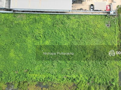 Land for rent in Samut Sakhon, 3 rai, Phanthai Norasing. Mueang Samut Sakhon District, Samut Sakhon, Samut Sakhon, Thailand Land for rent in Samut Sakhon, 3 rai, Phanthai Norasing. Mueang Samut Sakhon District, Samut Sakhon, Samut Sakhon, Thailand