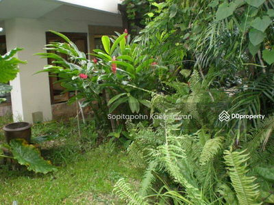 MSI III Garden, Bangkok, Thailand MSI III Garden, Bangkok, Thailand