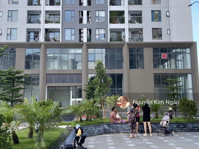 Rose Town, Vietnam Rose Town, Vietnam