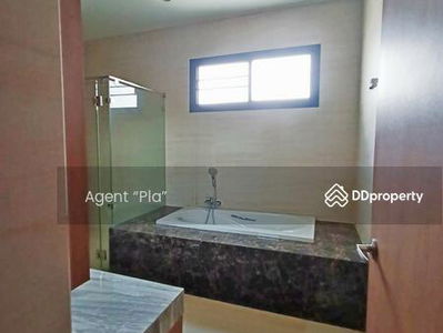 Single house for rent in Soi Ekkamai 12. (SPSAM870), Bangkok., Thailand Single house for rent in Soi Ekkamai 12. (SPSAM870), Bangkok., Thailand