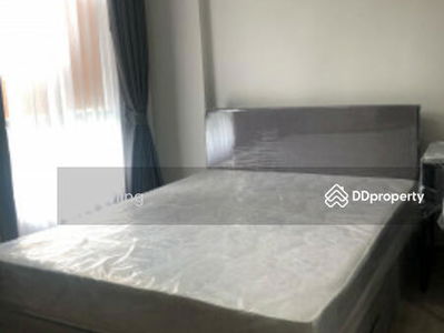Condo for rent, D Condo Campus Kamphaeng Saen, 30 sq m., very good condition, beautifully decorated, ready to move in, Nakhon Pathom., Thailand Condo for rent, D Condo Campus Kamphaeng Saen, 30 sq m., very good condition, beautifully decorated, ready to move in, Nakhon Pathom., Thailand