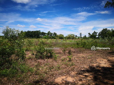 LSR-008 Non Soong Subdistrict, Mueang District, Udonthani Province, Udon Thani : Non Soong Subdistrict, Mueang District, Udonthani Province, Udon Thani, Thailand LSR-008 Non Soong Subdistrict, Mueang District, Udonthani Province, Udon Thani : Non Soong Subdistrict, Mueang District, Udonthani Province, Udon Thani, Thailand