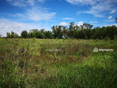 LSR-008 Non Soong Subdistrict, Mueang District, Udonthani Province, Udon Thani : Non Soong Subdistrict, Mueang District, Udonthani Province, Udon Thani, Thailand LSR-008 Non Soong Subdistrict, Mueang District, Udonthani Province, Udon Thani : Non Soong Subdistrict, Mueang District, Udonthani Province, Udon Thani, Thailand