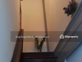 10300, Bangkok, Thailand 10300, Bangkok, Thailand