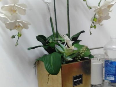 Lane 84, Vietnam Lane 84, Vietnam