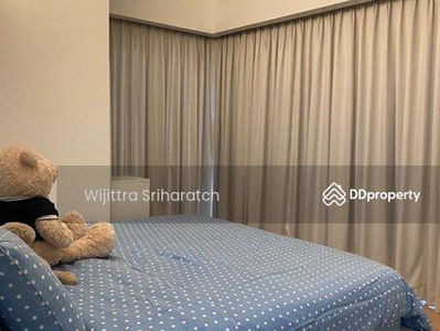 Siamese Gioia, Bangkok, Thailand Siamese Gioia, Bangkok, Thailand