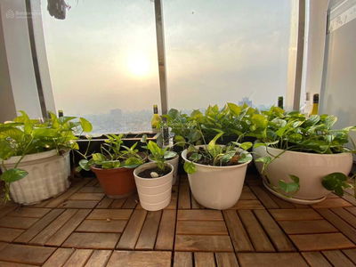 Res 11, Vietnam Res 11, Vietnam