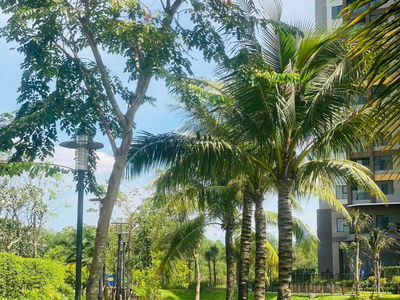 Mizuki Park, Vietnam Mizuki Park, Vietnam