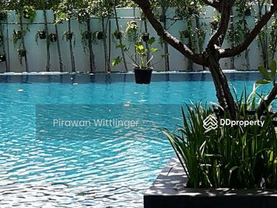 The Room Sulkumvit 62, Bangkok, Thailand The Room Sulkumvit 62, Bangkok, Thailand