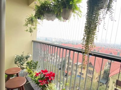 The Terra An Hung, Vietnam The Terra An Hung, Vietnam