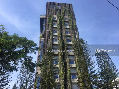 ASHTON Morph 38, Bangkok, Thailand ASHTON Morph 38, Bangkok, Thailand