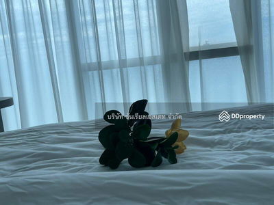 The Palm Wongamart Beach, Chon Buri, Thailand The Palm Wongamart Beach, Chon Buri, Thailand