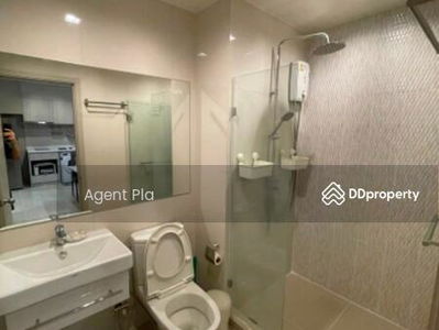 Condo for rent Life Sukhumvit 48. (SPSAM998), Bangkok, Thailand Condo for rent Life Sukhumvit 48. (SPSAM998), Bangkok, Thailand