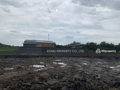 Land for sale, Soi Chaloem Phrakiat Rama 9, Prawet District, Bangkok, already filled, area 2-1-84 rai, Bangkok, Thailand Land for sale, Soi Chaloem Phrakiat Rama 9, Prawet District, Bangkok, already filled, area 2-1-84 rai, Bangkok, Thailand