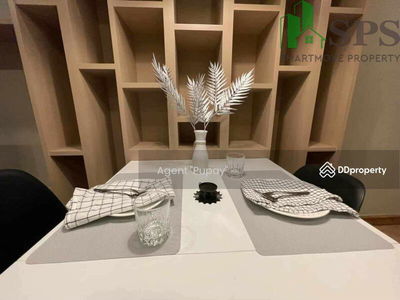 Condo for rent The Ace Ekkamai (SPSAM874), Bangkok, Thailand Condo for rent The Ace Ekkamai (SPSAM874), Bangkok, Thailand