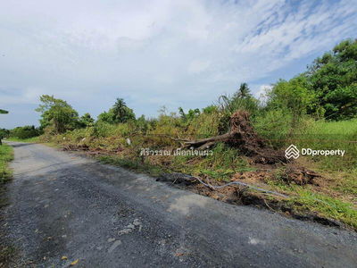 Empty land for rent, area 4, 8 rai, Suwinthawong 90, joint development, Nong Chok, can do agriculture, Bangkok, Thailand Empty land for rent, area 4, 8 rai, Suwinthawong 90, joint development, Nong Chok, can do agriculture, Bangkok, Thailand