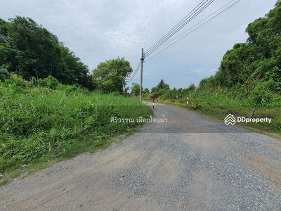 Empty land for rent, area 4, 8 rai, Suwinthawong 90, joint development, Nong Chok, can do agriculture, Bangkok, Thailand Empty land for rent, area 4, 8 rai, Suwinthawong 90, joint development, Nong Chok, can do agriculture, Bangkok, Thailand
