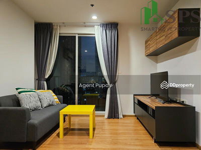 Condo for rent The Base Sukhumvit 77 (SPSAM1161), Bangkok, Thailand Condo for rent The Base Sukhumvit 77 (SPSAM1161), Bangkok, Thailand