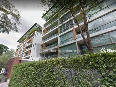 Ficus Lane, Bangkok, Thailand Ficus Lane, Bangkok, Thailand