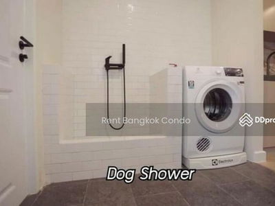 Can't find it, Bangkok, Thailand Can't find it, Bangkok, Thailand