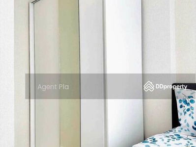 Condo for rent The Sky Sukhumvit 103/4 (SPSAM1159), Bangkok, Thailand Condo for rent The Sky Sukhumvit 103/4 (SPSAM1159), Bangkok, Thailand