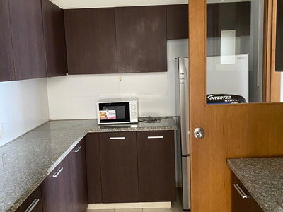 The Canary, Vietnam The Canary, Vietnam