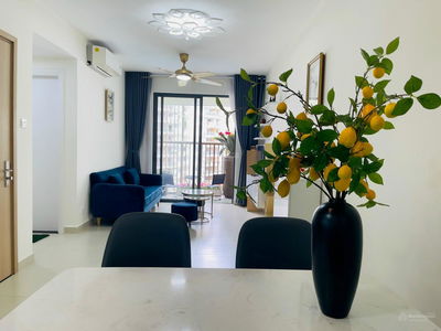 Topaz Twins, Vietnam Topaz Twins, Vietnam