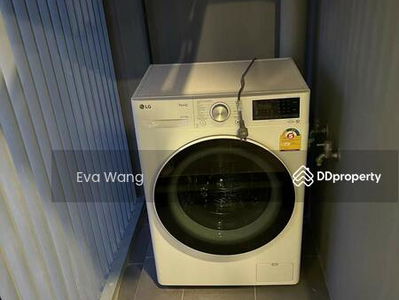 Siamese Exclusive Queens, Bangkok, Thailand Siamese Exclusive Queens, Bangkok, Thailand