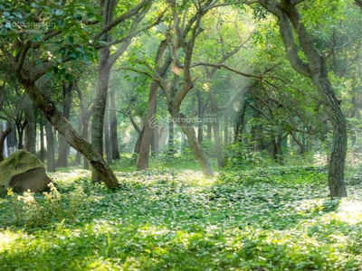 Ecopark, Vietnam  Ecopark, Vietnam