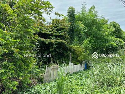 L079864 Empty land for sale, land size 6-0-169.00 rai, Bang Lamung, Chon Buri, Chon Buri, Thailand L079864 Empty land for sale, land size 6-0-169.00 rai, Bang Lamung, Chon Buri, Chon Buri, Thailand