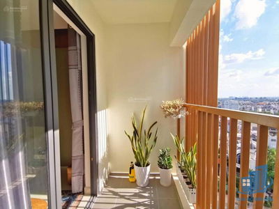 Topaz Twins, Vietnam Topaz Twins, Vietnam