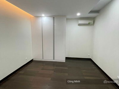 The Golden Armor, Vietnam The Golden Armor, Vietnam