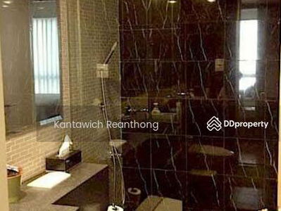 Siamese Gioia, Bangkok, Thailand Siamese Gioia, Bangkok, Thailand