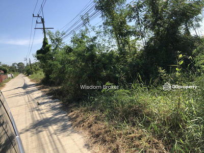 Empty land for rent, 200 square meters, Soi 9/1, Khlong Sam Road, Pathum Thani., Thailand Empty land for rent, 200 square meters, Soi 9/1, Khlong Sam Road, Pathum Thani., Thailand