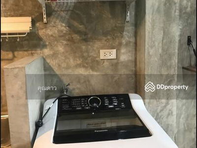 ASRP0463, Chiang Mai, Thailand ASRP0463, Chiang Mai, Thailand