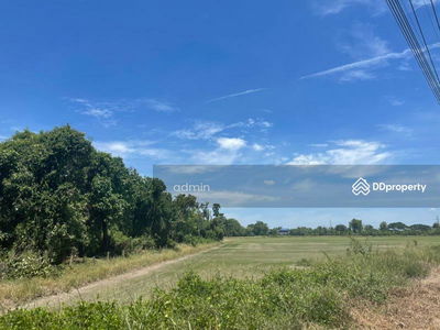 Land for rent Lat Lum Kaeo District, area 27 rai, Pathum Thani, Thailand Land for rent Lat Lum Kaeo District, area 27 rai, Pathum Thani, Thailand