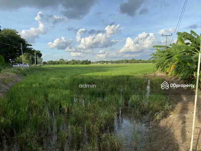 Land for rent Lat Lum Kaeo District, area 27 rai, Pathum Thani, Thailand Land for rent Lat Lum Kaeo District, area 27 rai, Pathum Thani, Thailand