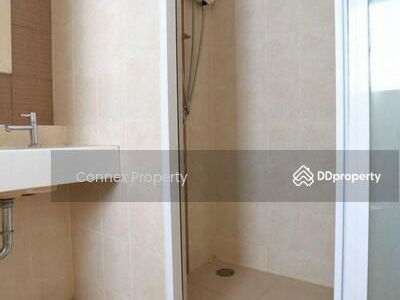 Ivy River, Bangkok, Thailand Ivy River, Bangkok, Thailand