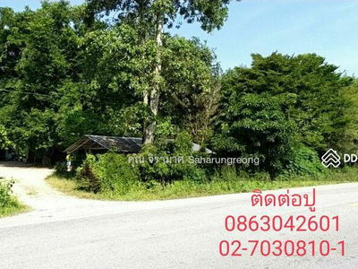 Land for rent purple zone near Amata Industrial city at Rayong Province, Rayong, Thailand Land for rent purple zone near Amata Industrial city at Rayong Province, Rayong, Thailand