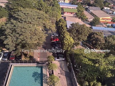 the tree interchange, Bangkok, Thailand the tree interchange, Bangkok, Thailand