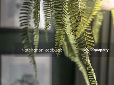 ASHTON Chula-Silom, Bangkok, Thailand ASHTON Chula-Silom, Bangkok, Thailand