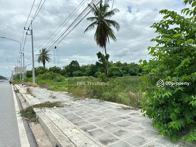 L079866 Empty land for sale, land size 8-0-39.00 rai, Bang Lamung, Chon Buri, Chon Buri, Thailand L079866 Empty land for sale, land size 8-0-39.00 rai, Bang Lamung, Chon Buri, Chon Buri, Thailand